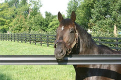 Centaur HTP 5" Rail Horse Fencing Centaur HTP 5" Rail Horse Fencing