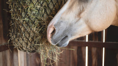 Hay Chix Hay Rack Hay Chix Hay Rack