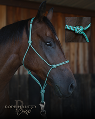 Crisp Halter