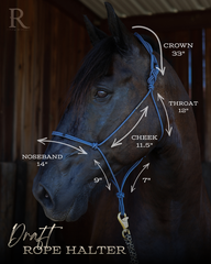Halter Size - Draft
