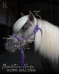 Halter Size - Miniature Horse