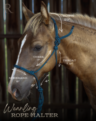 Halter Size - Weanling