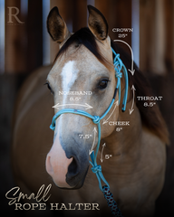 Halter Size - Small