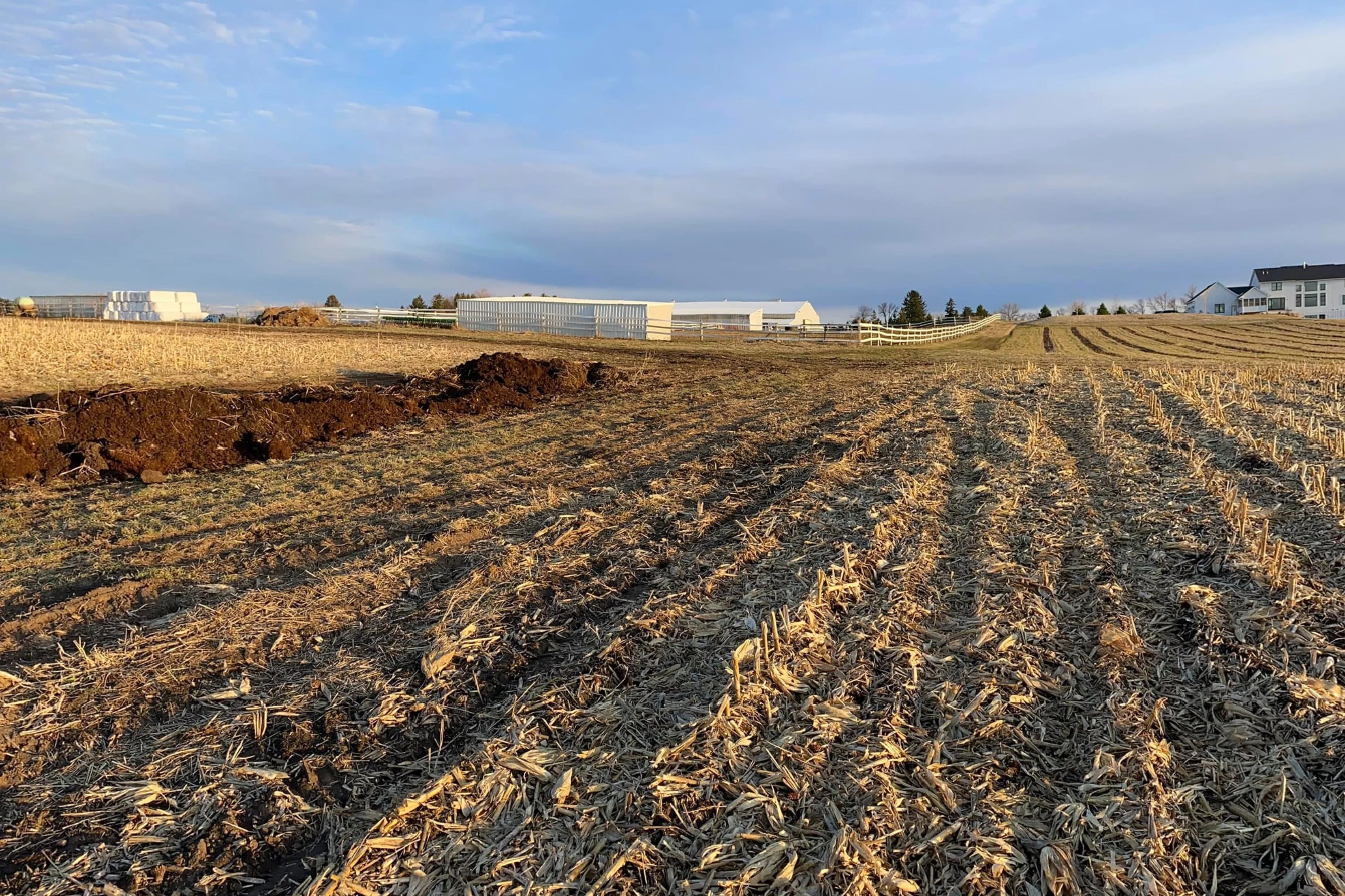 Horse Boarding Rates Strohfus Stock Farm