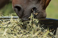 Hay Chix 2-Strand Bale Net (Small Bale Net)