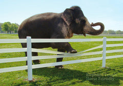 Centaur HTP 5" Rail Horse Fencing